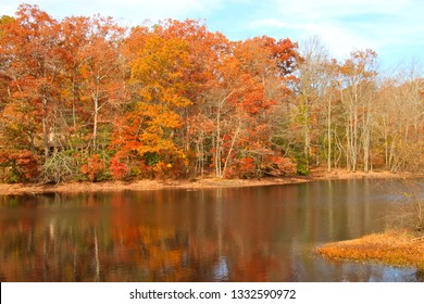 Fall Foliage At Allaire State Park In Wall Township, New Jersey