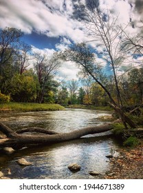 Fall Foliage Along Buffalo Creek