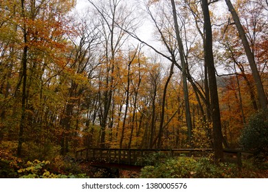 Fall foliage along the Dunnfield Creek Trail in Delaware Water Gap National Recreation Area in Columbia, New Jersey