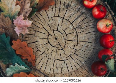 Fall foliage and apples on wooden stump. Autumn background, thanksgiving concept. Oak and maple leaves, cut, apple picking, September, October, November