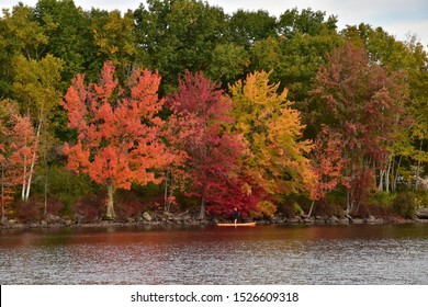 Fall Foliage Autumn Paddle Board New Hampshire New England Shoreline
