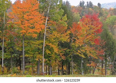 Fall Foliage In Bethel Maine