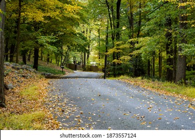 Fall Foliage Blankets A Back Road In New England In Early October.
