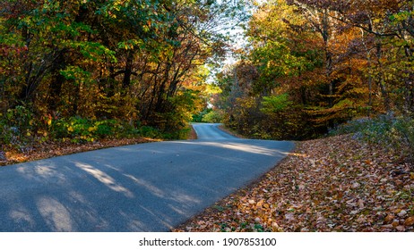 Fall Foliage At Brown County State Park, Indiana