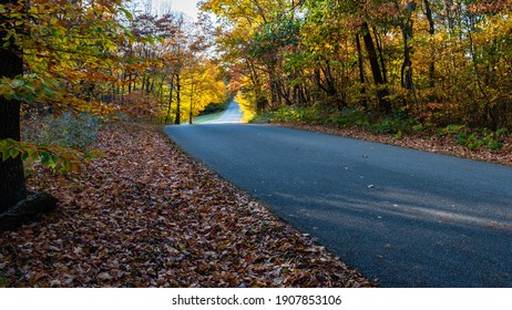 Fall Foliage At Brown County State Park, Indiana