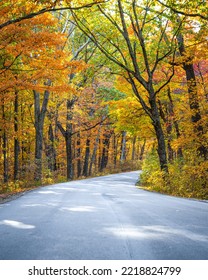 Fall Foliage At Brown County State Park