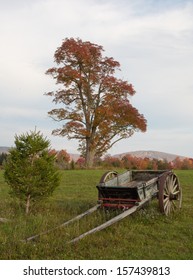 Fall Foliage In Canaan Valley, WV.