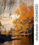 Fall foliage color in Arkansas. Bluff, river creek, afternoon sun and golden color trees dancing at Buffalo national river area.