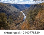 Fall foliage colors at Leonard Harrison State Park. Pine Creek Gorge, the Grand Canyon of Pennsylvania.