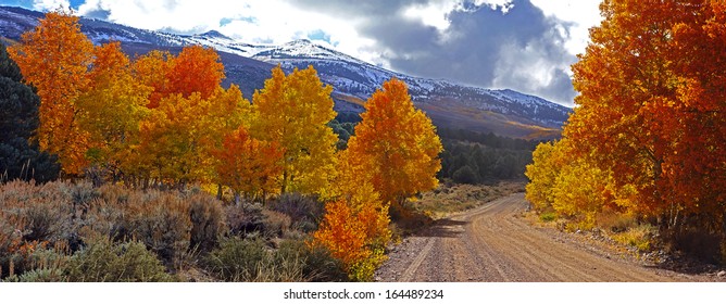 Fall Foliage At The Eastern Sierra Nevada Mountains In California