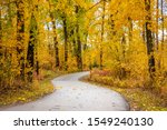 Fall foliage at Fish Creek Park, Calgary