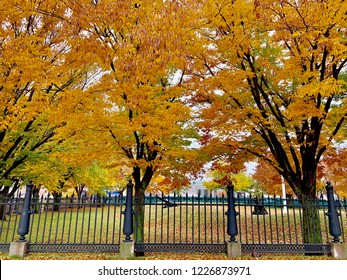 Fall Foliage In Fort Washington Park, Cambridge, Boston.