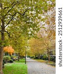 Fall Foliage Framing Sidewalk Walkway