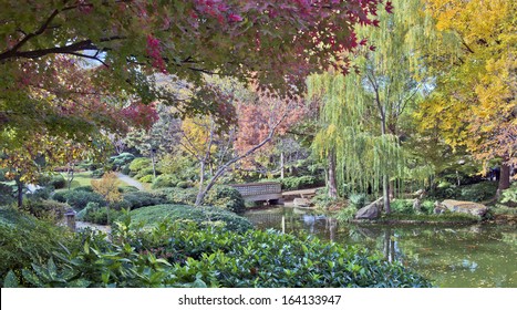 Fall Foliage In The Japanese Garden, Fort Worth, Texas