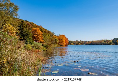 Fall Foliage At Lake In Southeast Ohio 