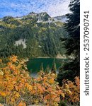 Fall foliage and lake in Washington state. Northern cascades national park in autumn.