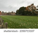 Fall foliage and leaves on the grass at Hampton court palace