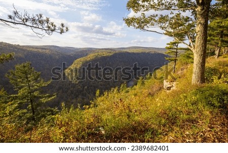 Fall foliage at Leonard Harrison State Park in an afternoon. Pine Creek Gorge, the Grand Canyon of Pennsylvania.