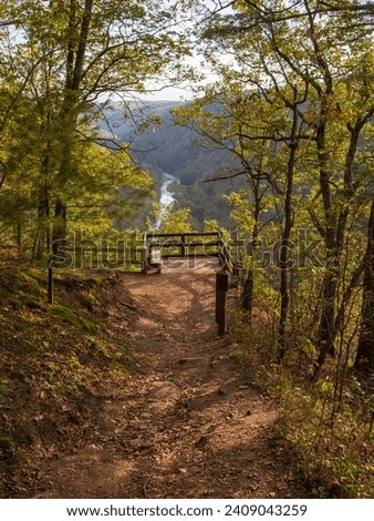 Fall foliage at Leonard Harrison State Park in an afternoon. Pine Creek Gorge, the Grand Canyon of Pennsylvania.