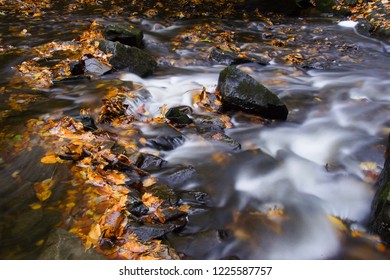 Fall Foliage In The Little Tennessee River Flowing Through The Great Smoky Mountains.