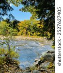 Fall foliage at Livermore falls state forest, New Hampshire