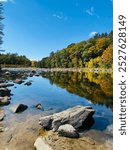 Fall foliage at Livermore falls state forest, New Hampshire