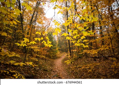 Fall Foliage In New England 