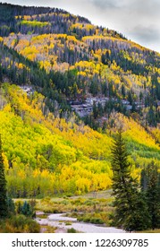 Fall Foliage On The Aspen Trees In Vail, Colorado