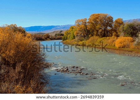Fall Foliage on the Clarks Fork of the Yellowstone River while Driving Highway 72 in Southern Montana.