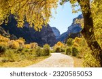 Fall Foliage on Glenwood Canyon Recreation Trail on the Colorado River in Colorado, USA