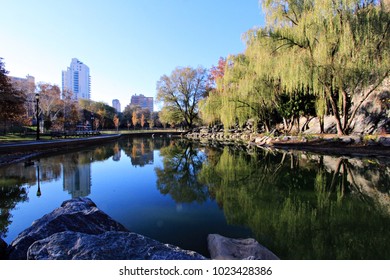 Fall Foliage Reflections In Morningside Park, New York City, New York.