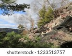 Fall Foliage and Rocks at Devil