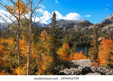 Fall foliage in Rocky mountain national park - Powered by Shutterstock