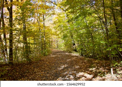 Fall Foliage In Saratoga Springs, NY