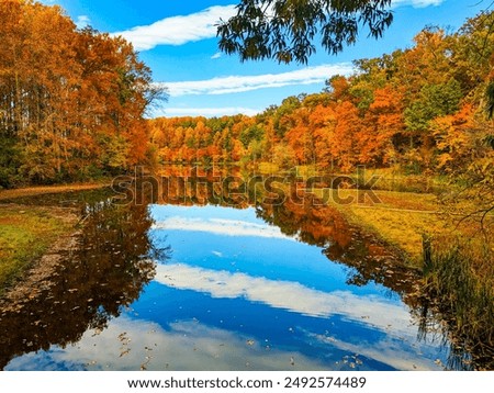 Fall Foliage at Seneca Creek State Park