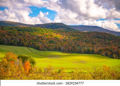 Fall Foliage In Sleepy Hollow Farm