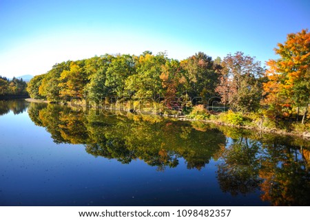 Fall Foliage Trees Road
