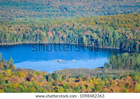 Fall Foliage Trees Road