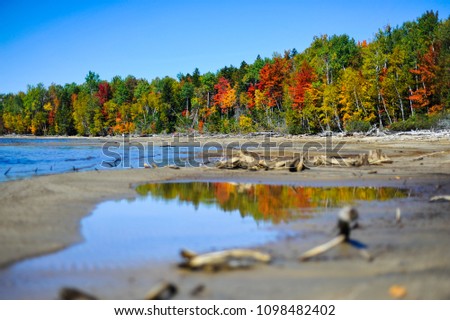Fall Foliage Trees Road