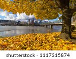 Fall Foliage under the Maple tree with Portland Oregon city skyline by Hawthorne Bridge along Willamette River