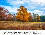 Fall Foliage in Upstate New York Saratoga Springs Battle Ground