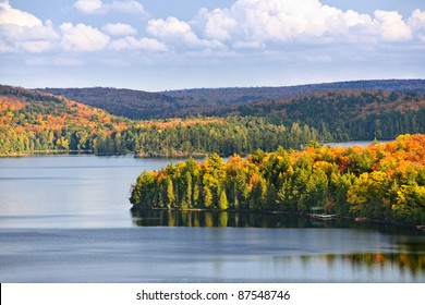fall-forest-colorful-autumn-trees-260nw-