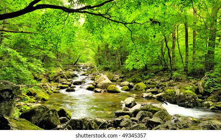 fall forest stream Smolny in russian primorye   reserve