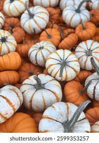 Fall Fun Pumpkin Patch in California. 