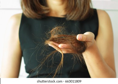 Fall Hair In Woman Hand .healthy Concept.