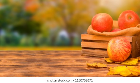 Fall harvest cornucopia. Basket with red apples in the garden. Copy space on wood background in Autumn season. - Shutterstock ID 1150752671