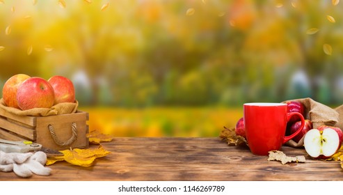 Fall harvest cornucopia. Cup of Hot apple tea for fresh start of the day. Autumn season warm drink. Copy space on wood background.