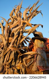 Fall Harvest Decoration In Hodgenville KY On A Cool Autumn Evening.