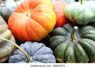 Fall Harvest At The Nashville Farmers Market