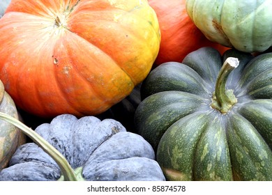 Fall Harvest At The Nashville Farmers Market